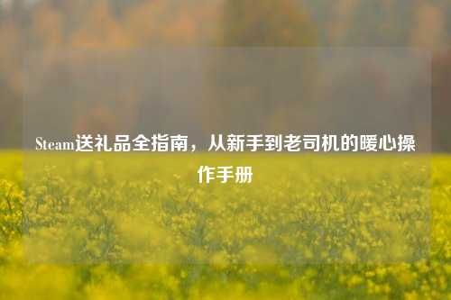 Steam送礼品全指南,从新手到老司机的暖心操作手册