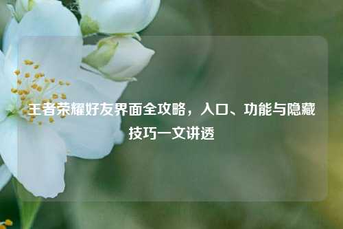 王者荣耀好友界面全攻略,入口、功能与隐藏技巧一文讲透