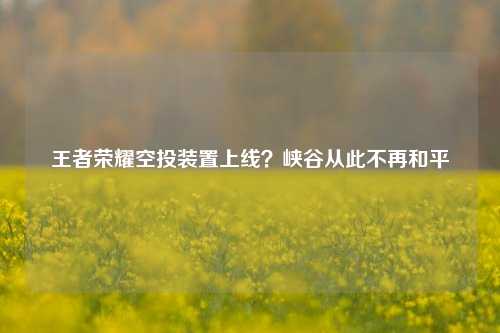 王者荣耀空投装置上线?峡谷从此不再和平