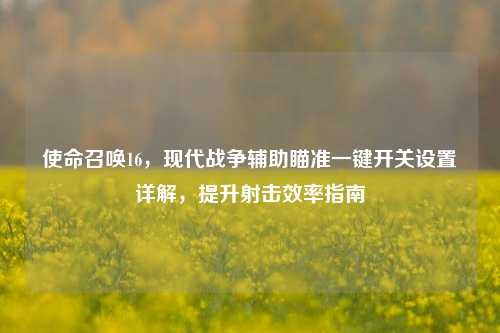 使命召唤16,现代战争辅助瞄准一键开关设置详解,提升射击效率指南