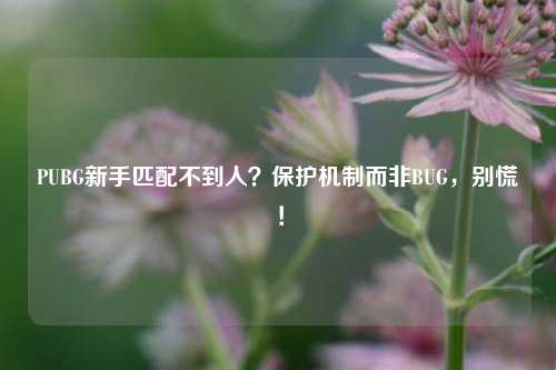 PUBG新手匹配不到人?保护机制而非BUG,别慌!