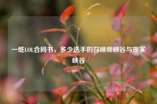 一纸LOL合同书,多少选手的召唤师峡谷与现实峡谷