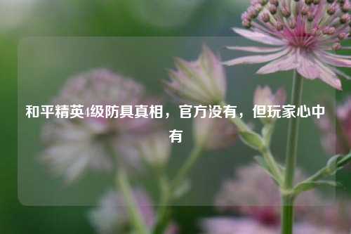 和平精英4级防具真相,官方没有,但玩家心中有