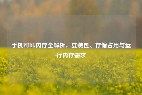 手机PUBG内存全解析,安装包、存储占用与运行内存需求
