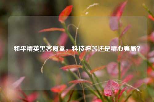 和平精英黑客魔盒,科技神器还是精心骗局?