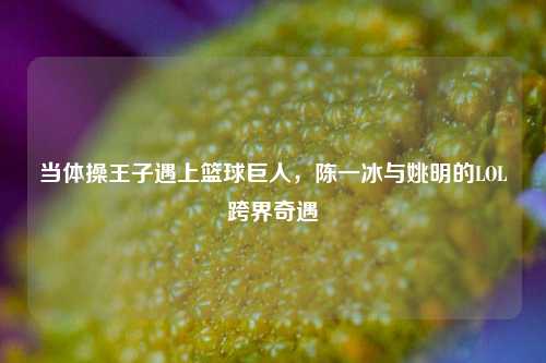 当体操王子遇上篮球巨人,陈一冰与姚明的LOL跨界奇遇