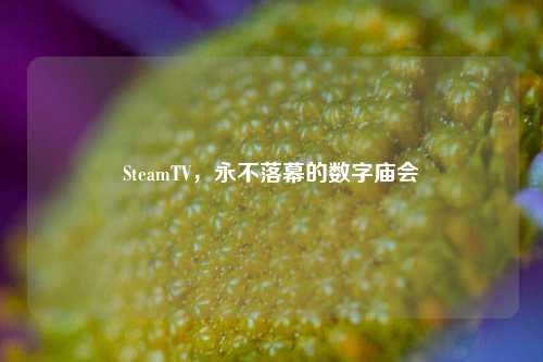 SteamTV,永不落幕的数字庙会