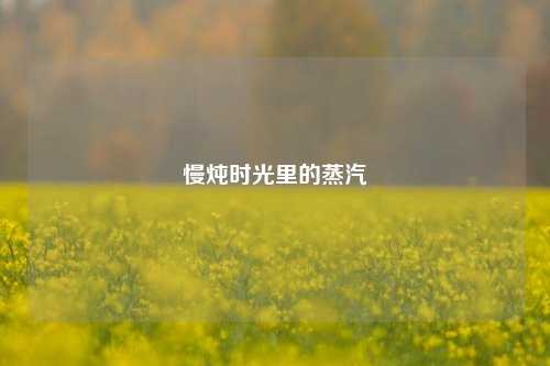 慢炖时光里的蒸汽