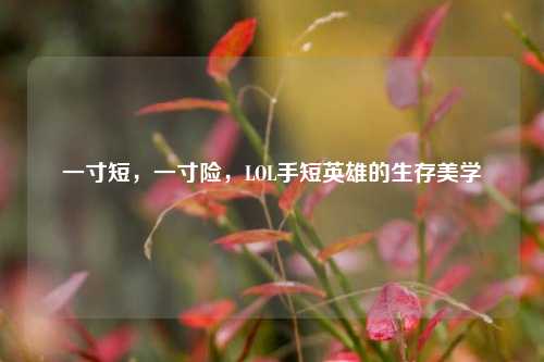 一寸短，一寸险，LOL手短英雄的生存美学
