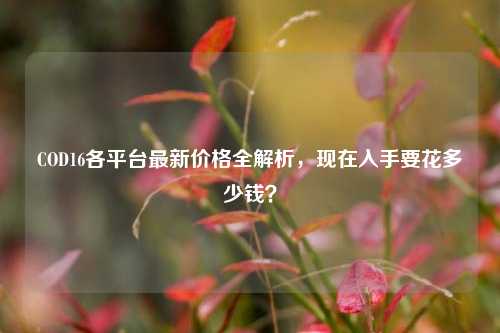 COD16各平台最新价格全解析,现在入手要花多少钱?