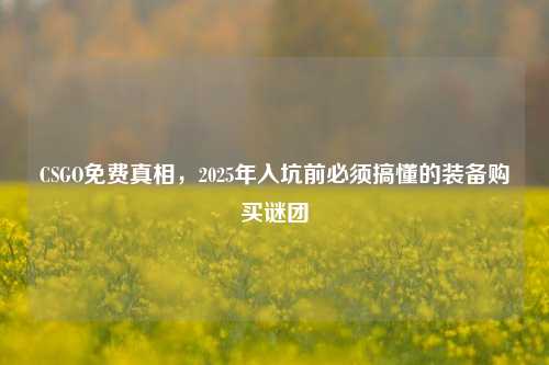 CSGO免费真相,2025年入坑前必须搞懂的装备购买谜团