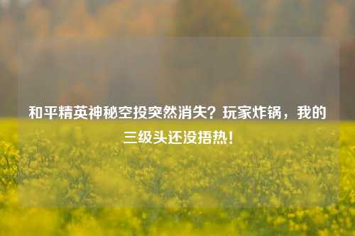 和平精英神秘空投突然消失?玩家炸锅,我的三级头还没捂热!