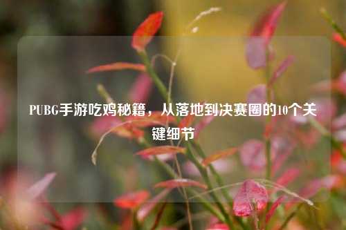 PUBG手游吃鸡秘籍,从落地到决赛圈的10个关键细节