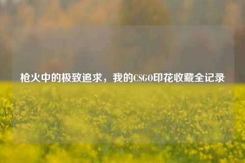 枪火中的极致追求,我的CSGO印花收藏全记录