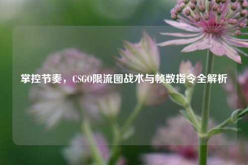 掌控节奏,CSGO限流图战术与帧数指令全解析