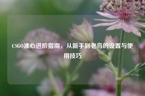 CSGO准心进阶指南,从新手到老鸟的设置与使用技巧