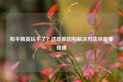 和平精英玩不了?这些原因和解决方法你需要知道