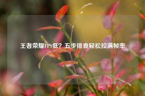 王者荣耀FPS低?五步排查轻松拉满帧率