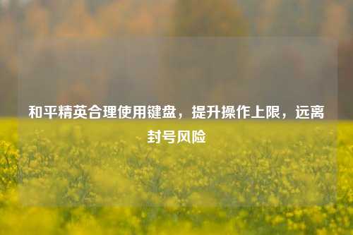 和平精英合理使用键盘,提升操作上限,远离封号风险