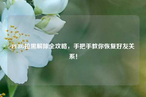 PUBG拉黑解除全攻略,手把手教你恢复好友关系!
