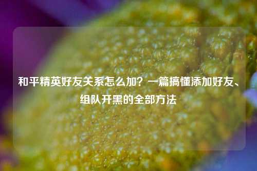 和平精英好友关系怎么加?一篇搞懂添加好友、组队开黑的全部方法