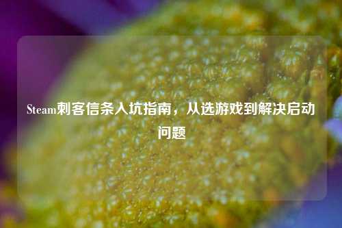 Steam刺客信条入坑指南,从选游戏到解决启动问题