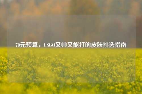 70元预算,CSGO又帅又能打的皮肤挑选指南