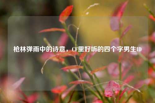 枪林弹雨中的诗意,CF里好听的四个字男生ID