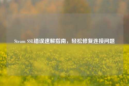 Steam SSL错误速解指南,轻松修复连接问题
