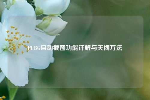 PUBG自动截图功能详解与关闭方法