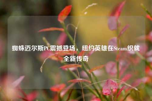 蜘蛛迈尔斯PC震撼登场,纽约英雄在Steam织就全新传奇