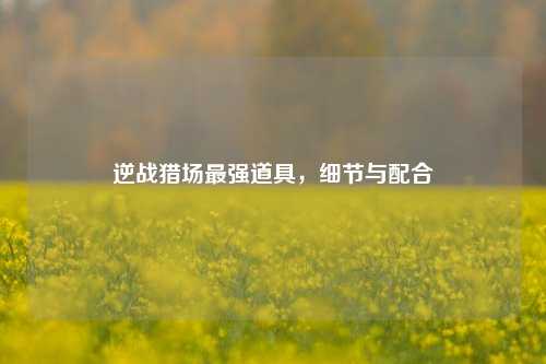 逆战猎场最强道具,细节与配合