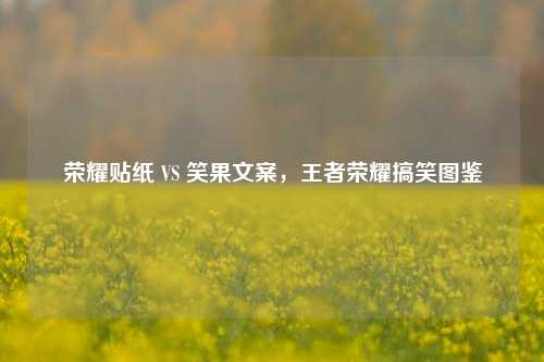 荣耀贴纸 VS 笑果文案,王者荣耀搞笑图鉴