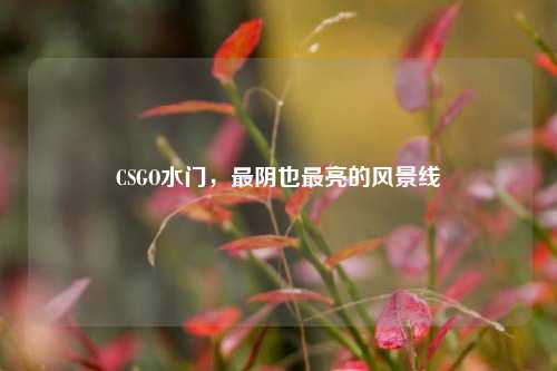 CSGO水门,最阴也最亮的风景线