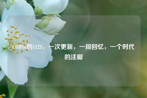 COD16的1121,一次更新,一段回忆,一个时代的注脚