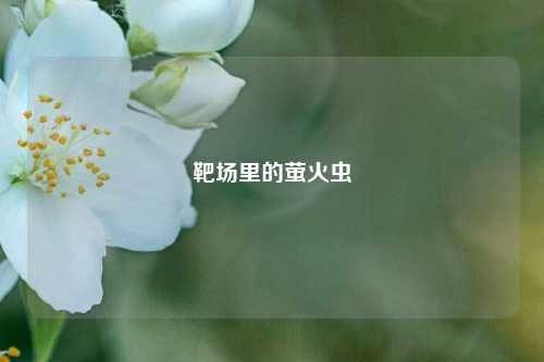 靶场里的萤火虫