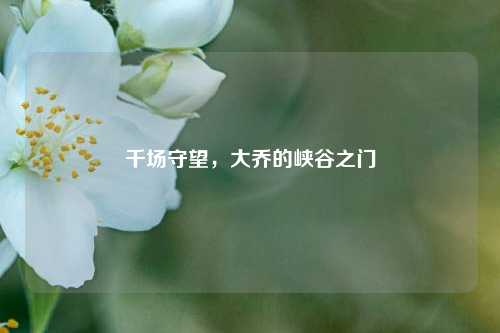 千场守望,大乔的峡谷之门