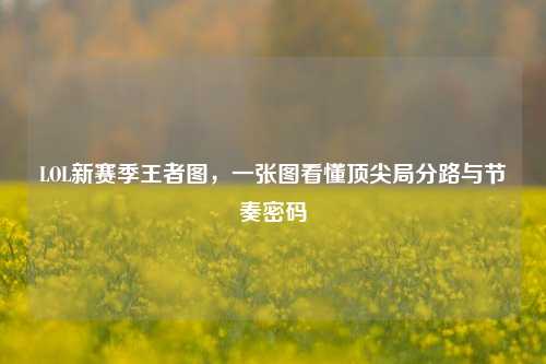 LOL新赛季王者图,一张图看懂顶尖局分路与节奏密码