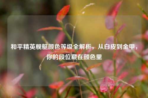 和平精英舰艇颜色等级全解析,从白皮到金甲,你的段位藏在颜色里