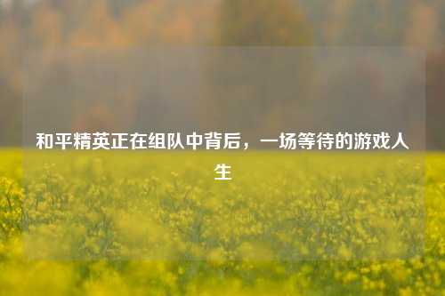 和平精英正在组队中背后,一场等待的游戏人生