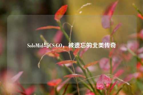 SoloMid与CS:GO,被遗忘的北美传奇