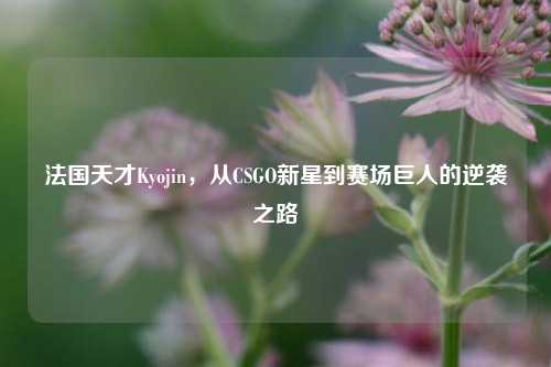 法国天才Kyojin,从CSGO新星到赛场巨人的逆袭之路