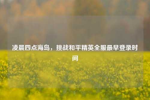 凌晨四点海岛,挑战和平精英全服最早登录时间