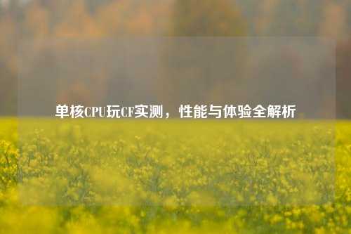 单核CPU玩CF实测,性能与体验全解析