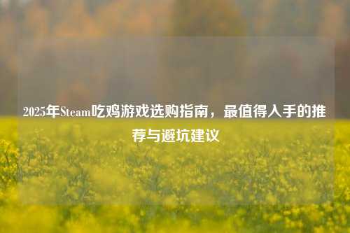 2025年Steam吃鸡游戏选购指南,最值得入手的推荐与避坑建议