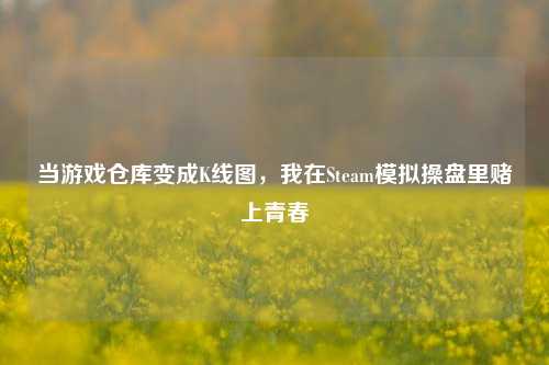 当游戏仓库变成K线图，我在Steam模拟操盘里赌上青春