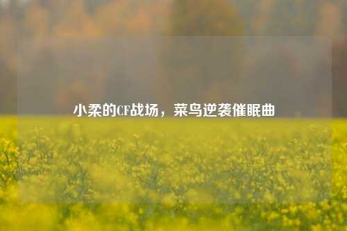 小柔的CF战场,菜鸟逆袭催眠曲