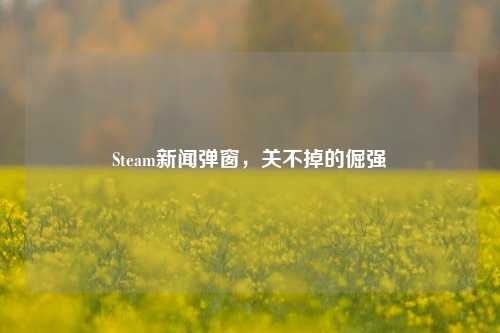 Steam新闻弹窗,关不掉的倔强