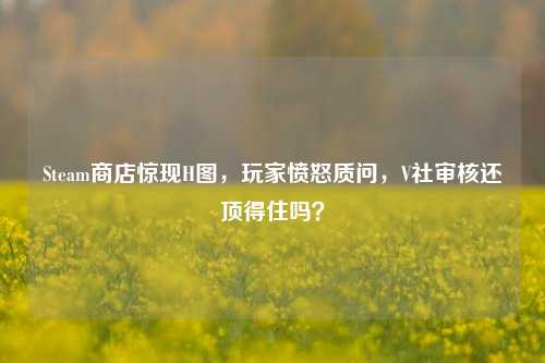 Steam商店惊现H图，玩家愤怒质问，V社审核还顶得住吗？
