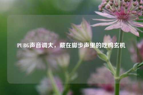 PUBG声音调大,藏在脚步声里的吃鸡玄机